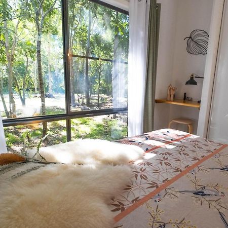 Airlie Beach Eco Cabins - Adults Only Ngoại thất bức ảnh