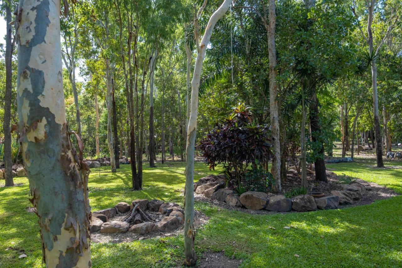 Airlie Beach Eco Cabins - Adults Only Ngoại thất bức ảnh