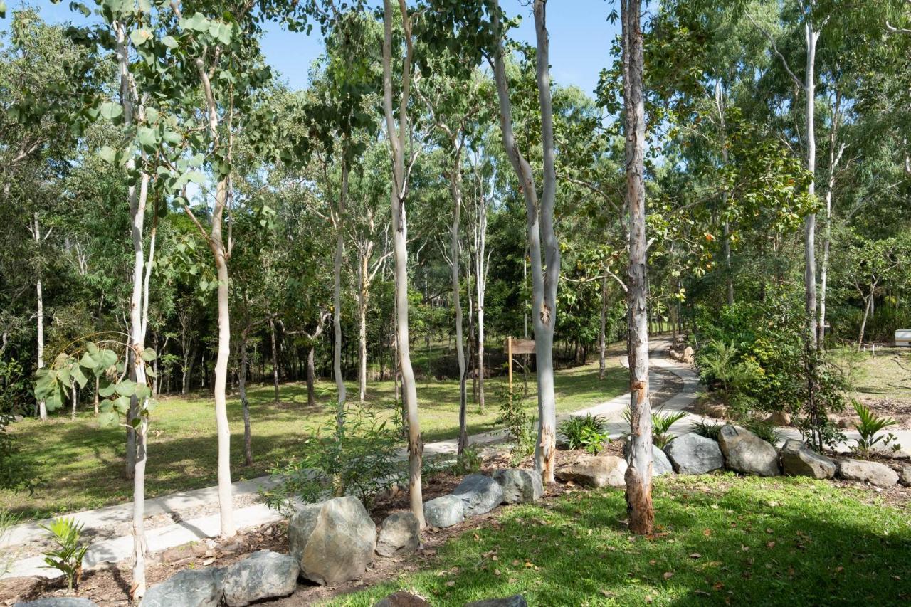 Airlie Beach Eco Cabins - Adults Only Ngoại thất bức ảnh
