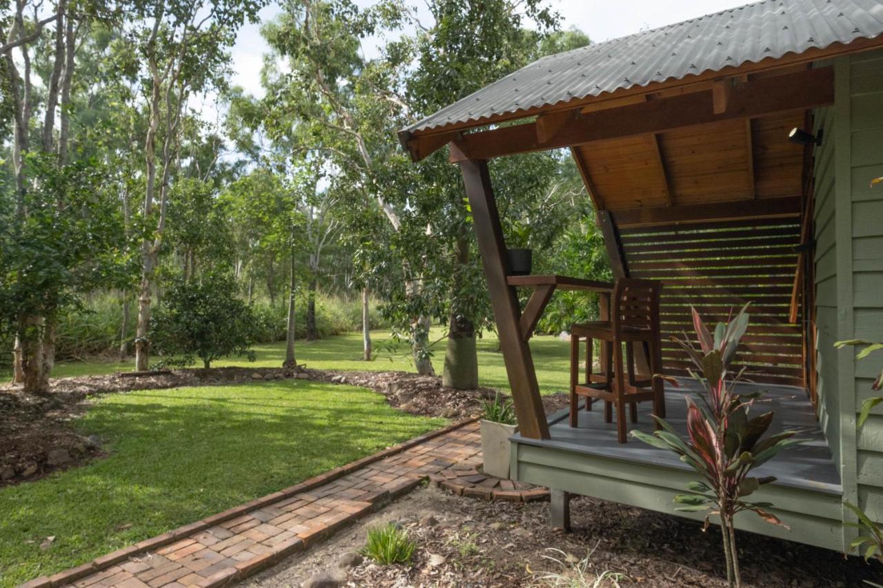Airlie Beach Eco Cabins - Adults Only Ngoại thất bức ảnh