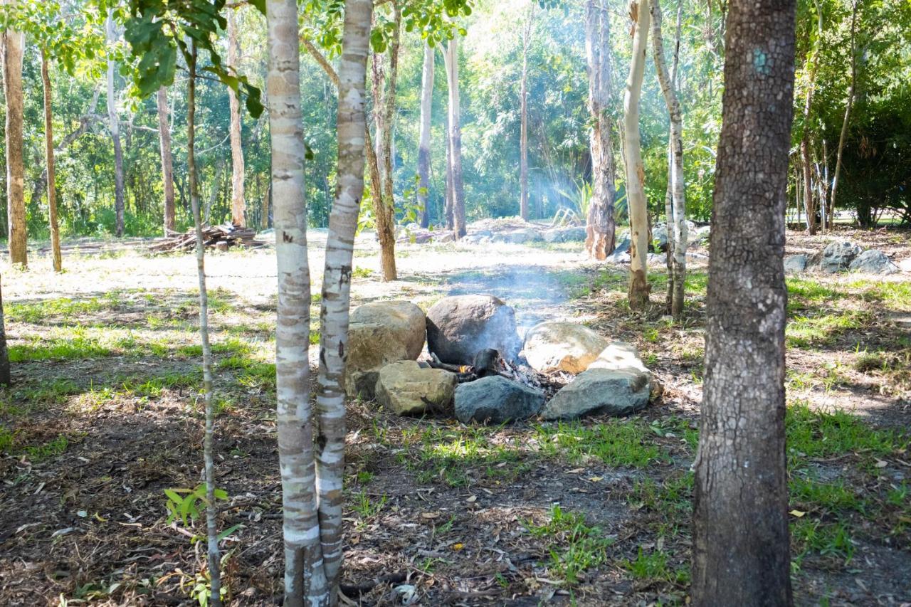 Airlie Beach Eco Cabins - Adults Only Ngoại thất bức ảnh